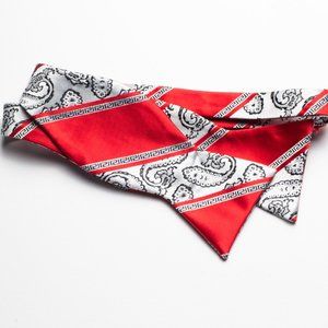 Paisley Print Silk Bow Tie Set